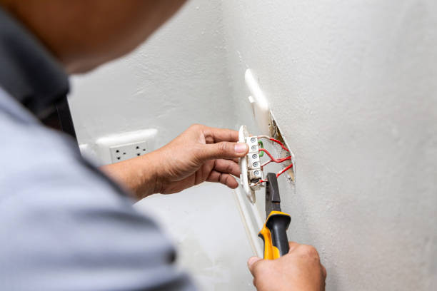 Best Electrical System Inspection  in Nikiski, AK