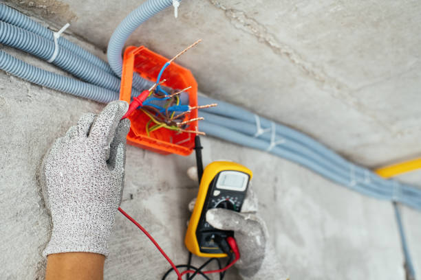 Best Electrician for Home Renovation  in Nikiski, AK